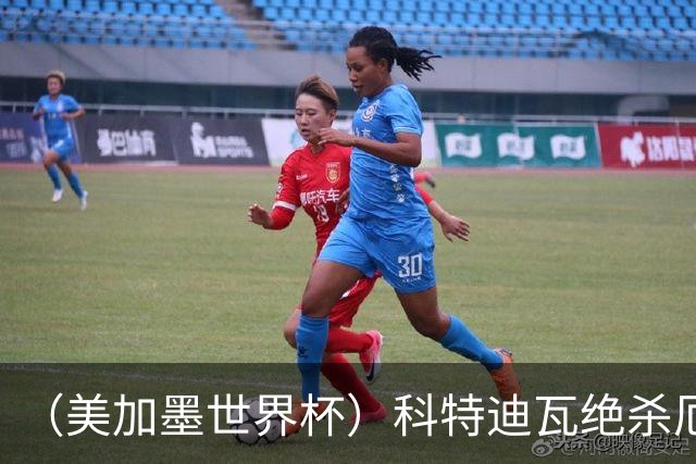 （美加墨世界杯）科特迪瓦绝杀厄瓜多尔 瑞典5:1大胜突尼斯